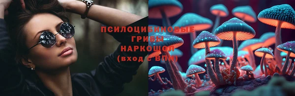 PSILOCYBIN Козельск