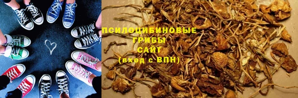 прущие грибы Касимов