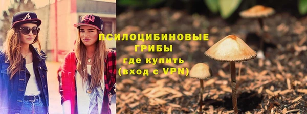 мет Кинешма