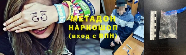 шишки Кодинск