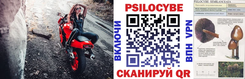 Галлюциногенные грибы Magic Shrooms  Купить закладки  Новая Ладога 